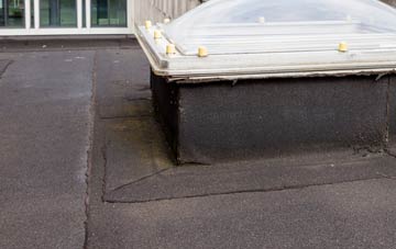 disadvantages of Homedowns flat roofs